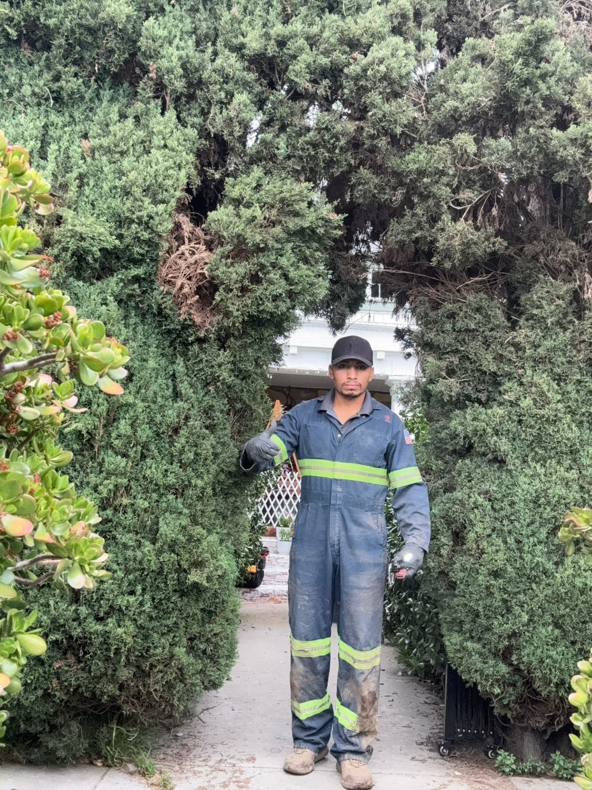 plumber in santa monica23