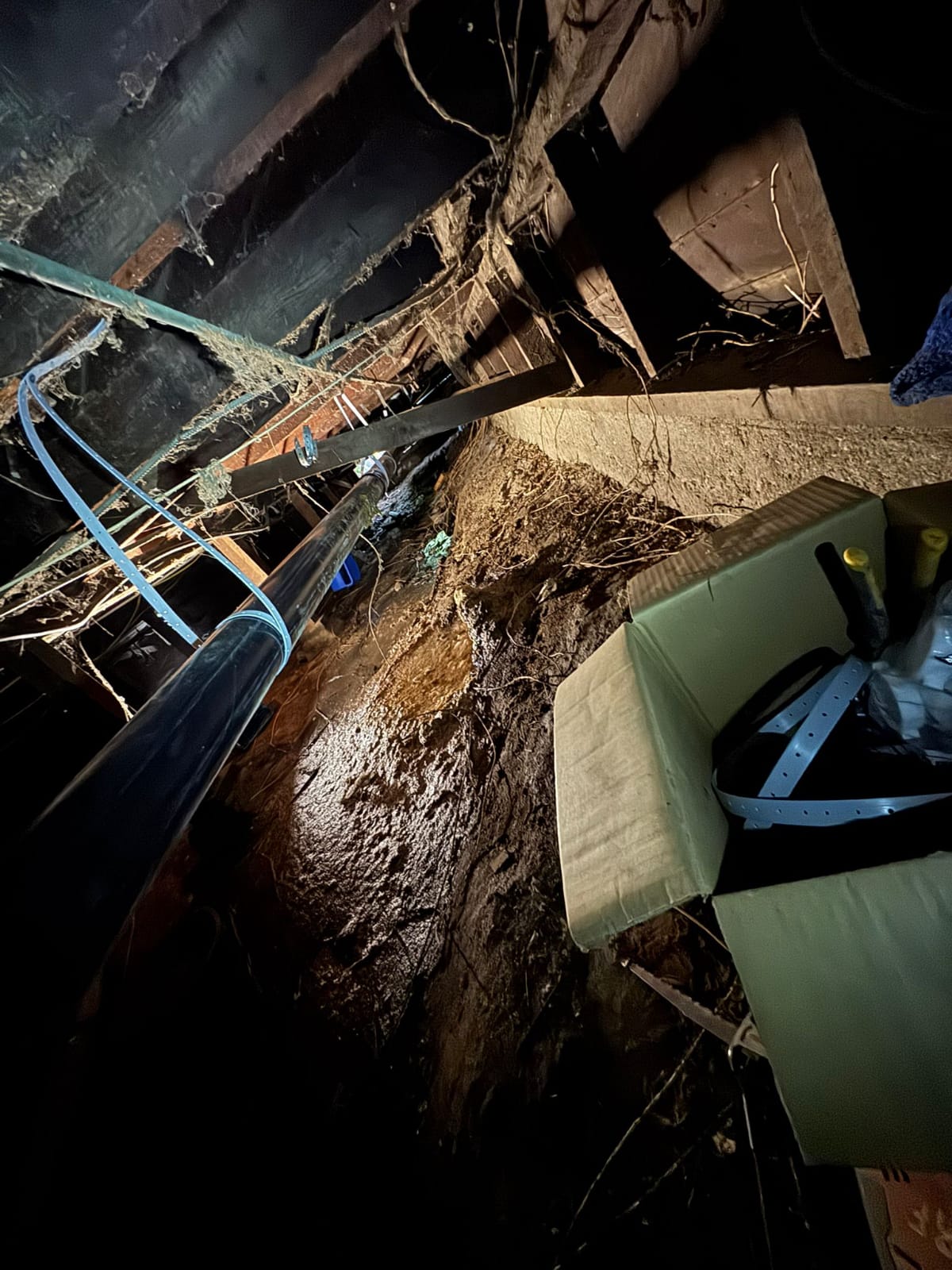 plumbing services los angeles