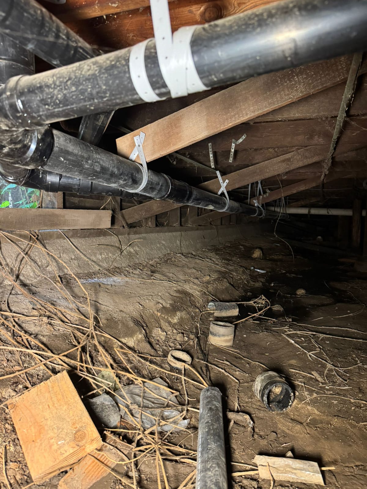 plumbing services los angeles23